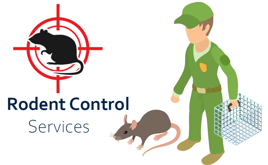 Rodent Control Service in Dhaka, Bangladesh image