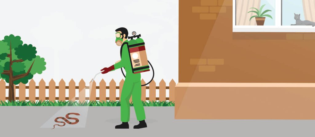 Snake Control Service in Dhaka, Bangladesh image