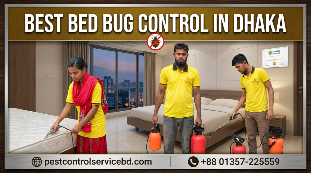 Best Bed Bug Control in Dhaka
image