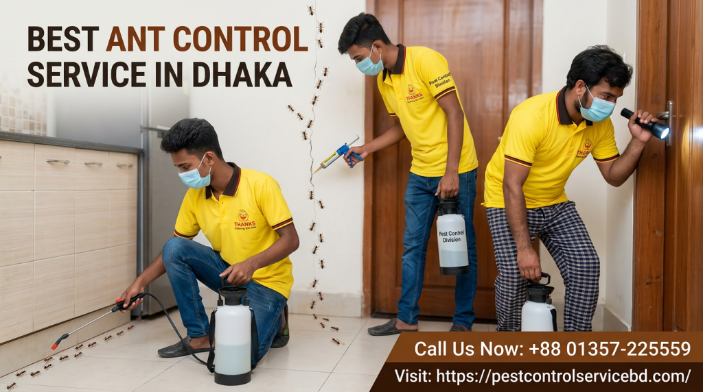 Best Ant Control Service in Dhaka image