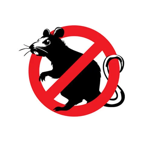 Rodent Control IMAGE